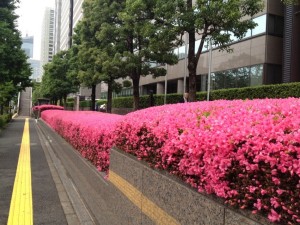 Leia mais sobre o artigo Gentilezas Japonesas